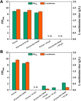 Construction of exogenous methanol, formate, and betaine modules for methyl donor supply in methionine biosynthesis